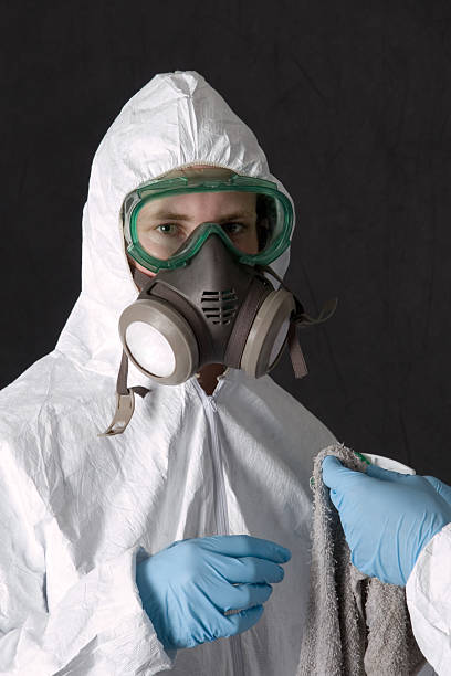 Best Mold Odor Removal Services  in Hattiesburg, MS